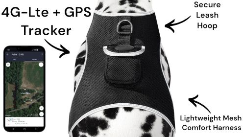 Mini Pet Tracking Device Collar Mount + Mobility Detector to Extend Battery Life Size:M