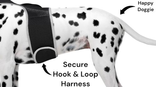 Waterproof Portable Collar Mounted Dog Trackers Pocket GPS Pet Locator Size:XS