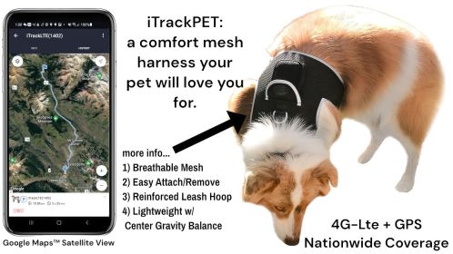 NEW GPS Dog Collar High Rated Reviews Realtime Waterproof Pet Tracker Size:M