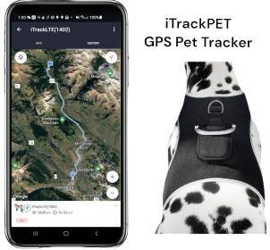 GPS Cat Dog Tracking System Mini Waterproof Rechargeable Pet Tracker Size:M