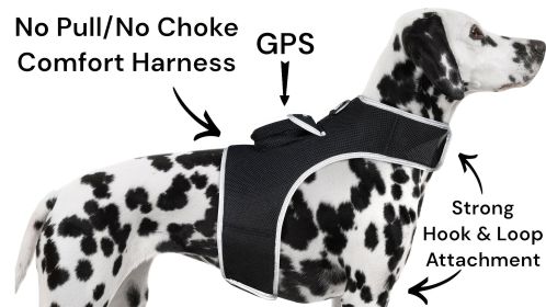 Track Pet Through Phone with Pet Tracker Collar GPS Tracking for Dog + App Size:M