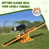 Training and Exercise Dog Agility Chainsaw-Swiship-Ship (Prohibited by WalMart)